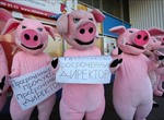 Вот и поддерживай отечественного производителя!