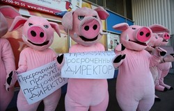 Вот и поддерживай отечественного производителя!