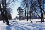 Поселок Мурино на границе Санкт-Петербурга и Ленинградской области