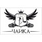 Чайка