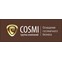 Группа компаний COSMI